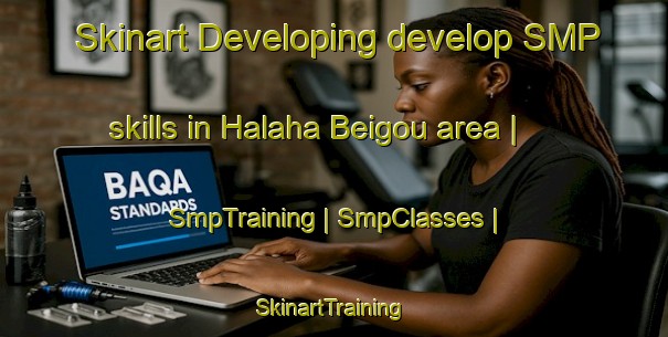Skinart Developing develop SMP skills in Halaha Beigou area | SmpTraining | SmpClasses | SkinartTraining-China